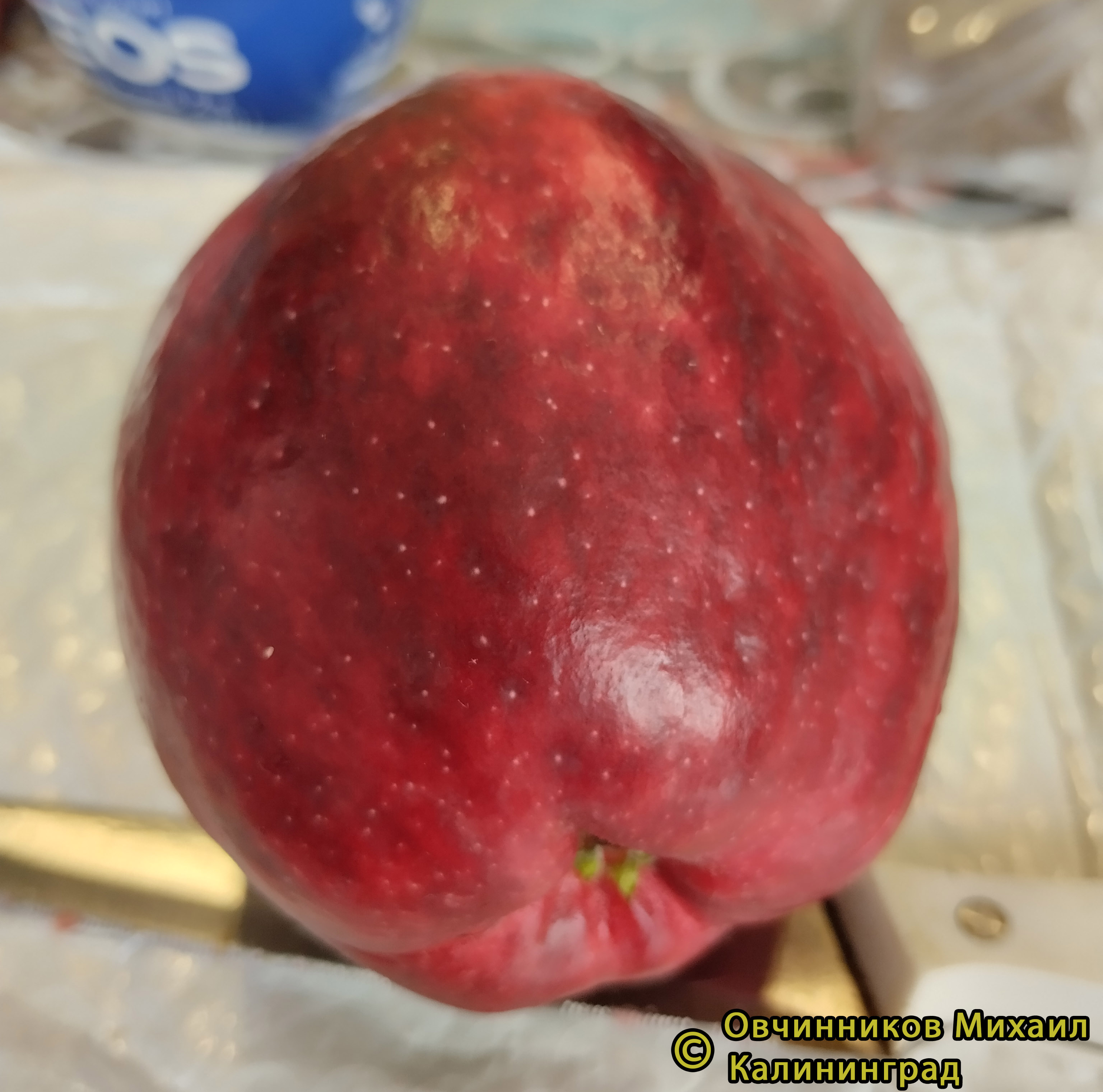 Вильямс Прайд яблоко