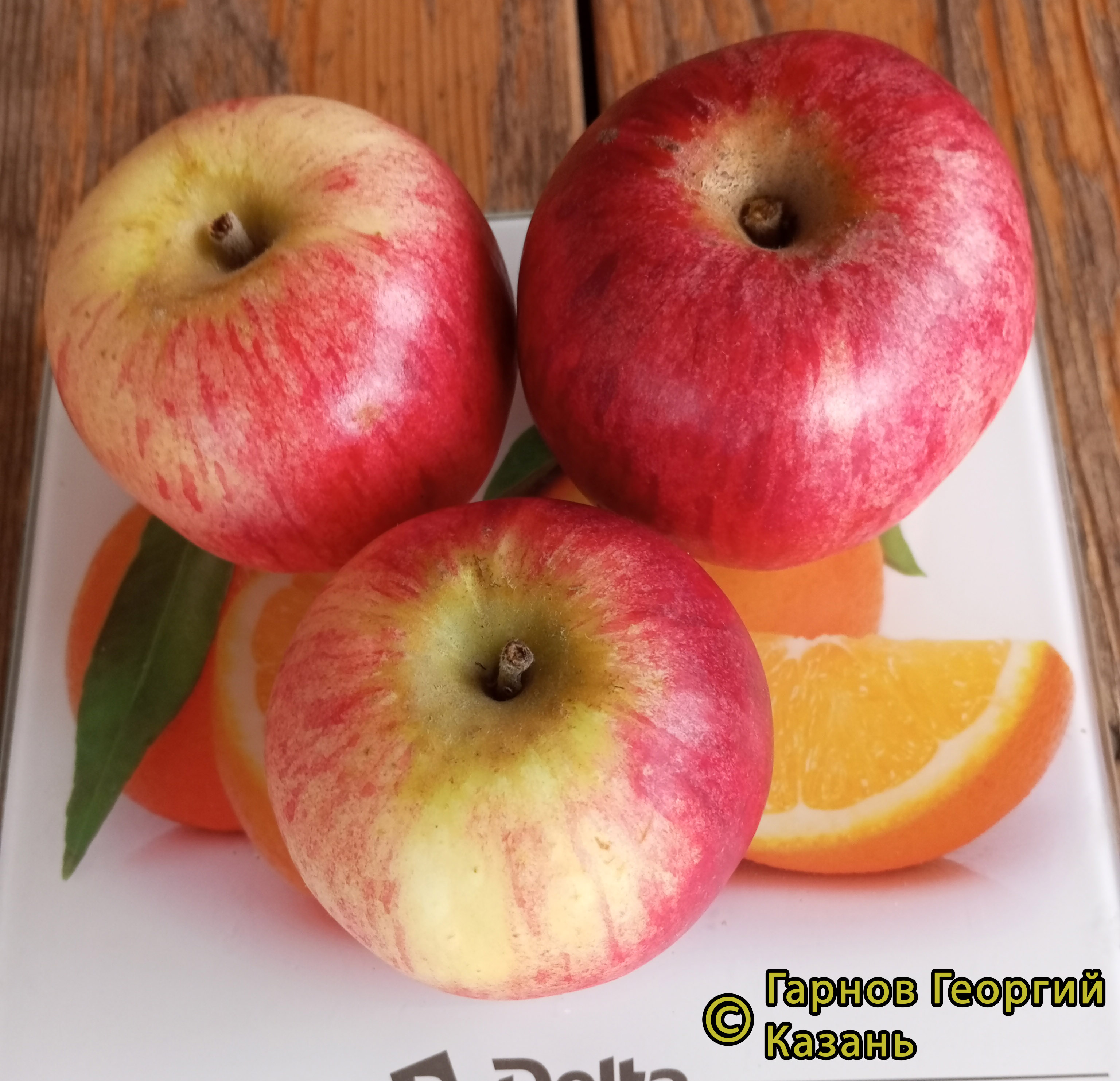 Беркутовское фото яблок