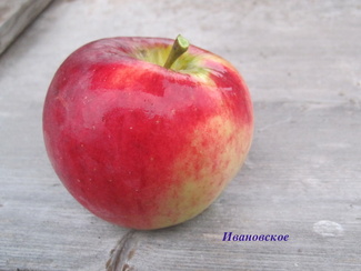 Ивановское фото яблока