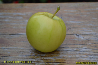 Папироянтарное яблоко