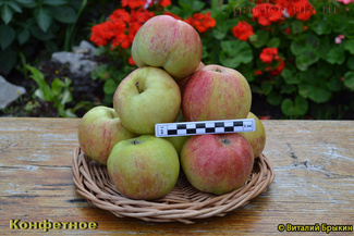 Конфетное яблоко фото на тарелке