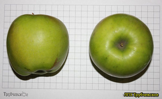 мутсу яблоко фото