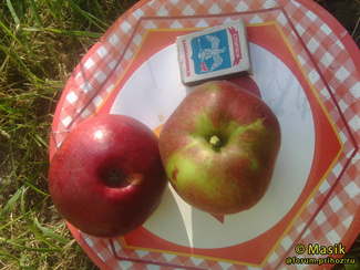 коваленковское яблоки