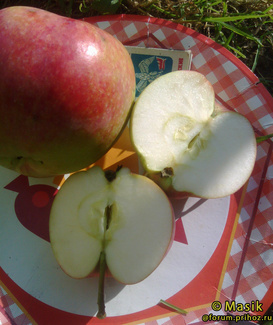 Мельба фото яблок