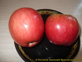 Степная красавица яблоки