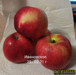 Ивановское фото яблок