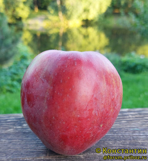 Клоз фото яблока