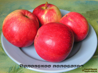 Орловское полосатое фото яблок