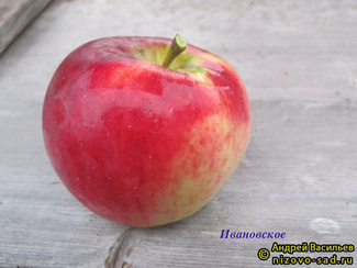 Ивановское фото яблока