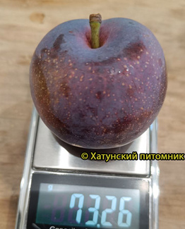 Награда Неманская фото сливы